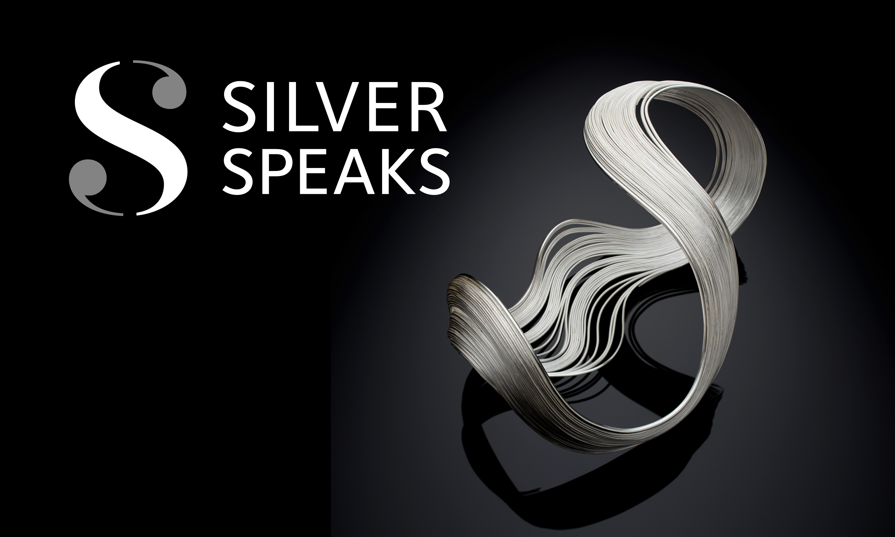 Branding and website design by Neon - designed by Dana Robertson - Silver Speaks exhibition logo with piece of silver work