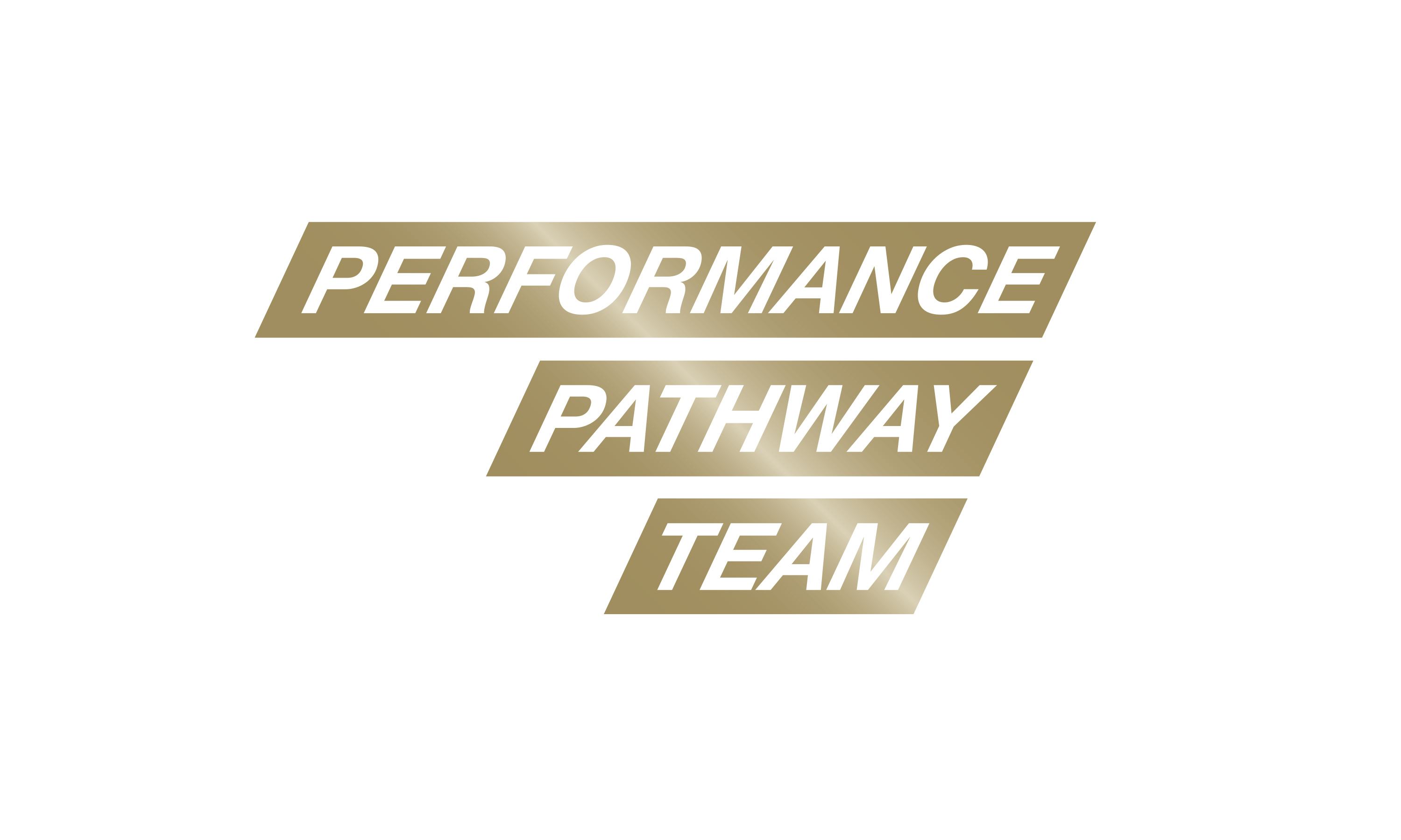 Branding by Neon - Sports branding - UK Sport Performance Pathway Team logo designed by Dana Robertson