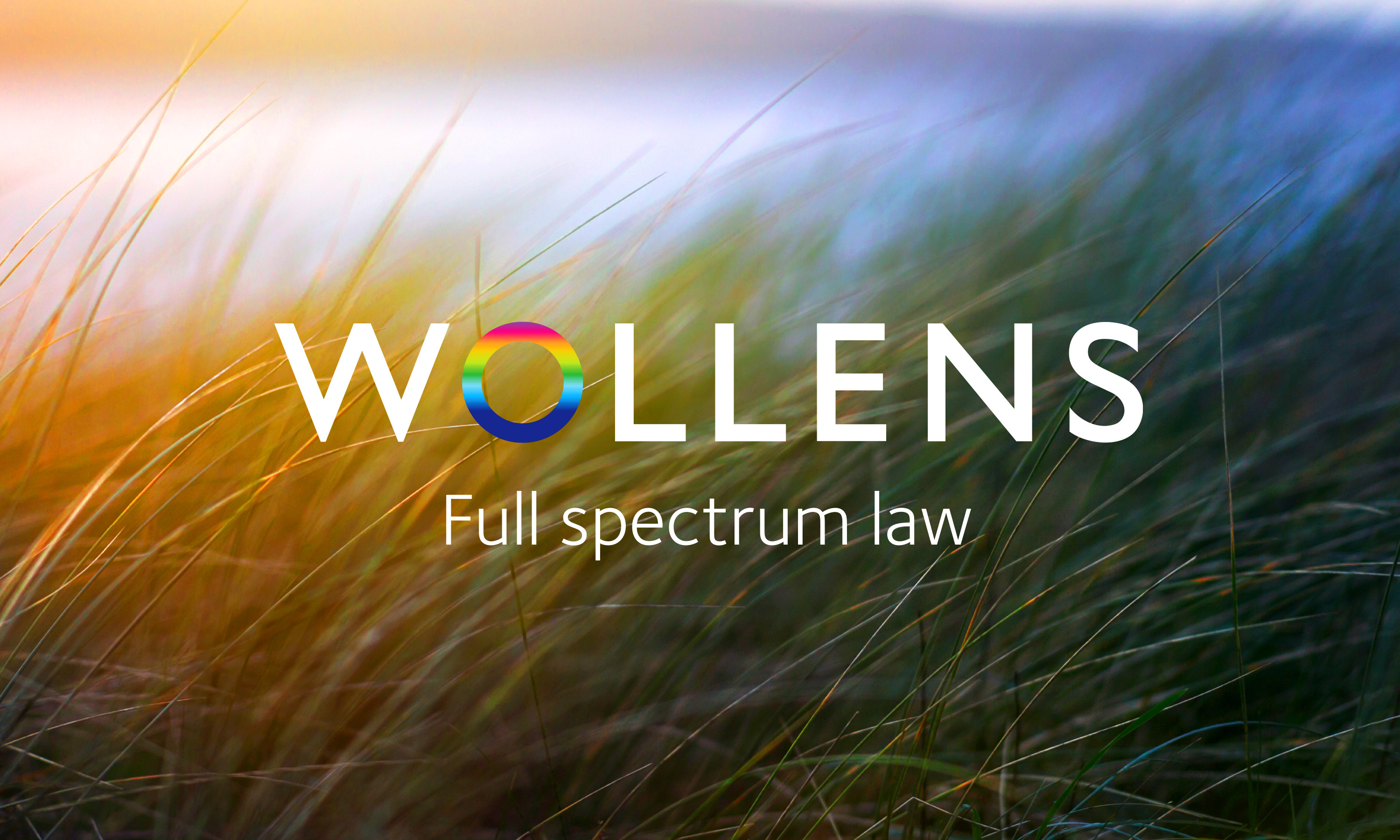 Branding by Neon Wollens Solicitors Devon, new Wollens brand mark over image of dune grasses designed by Dana Robertson